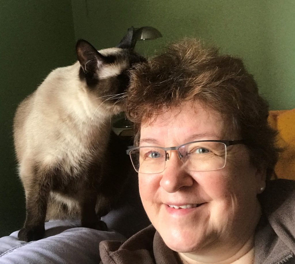 Telemedizin Katzen Portrait mit Katze